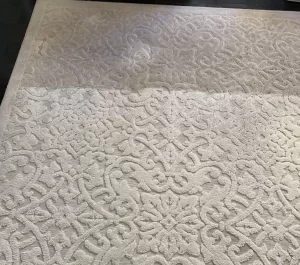 Side-by-side comparison showing a professionally cleaned area rug next to an uncleaned section, highlighting the visible difference in color and cleanliness.