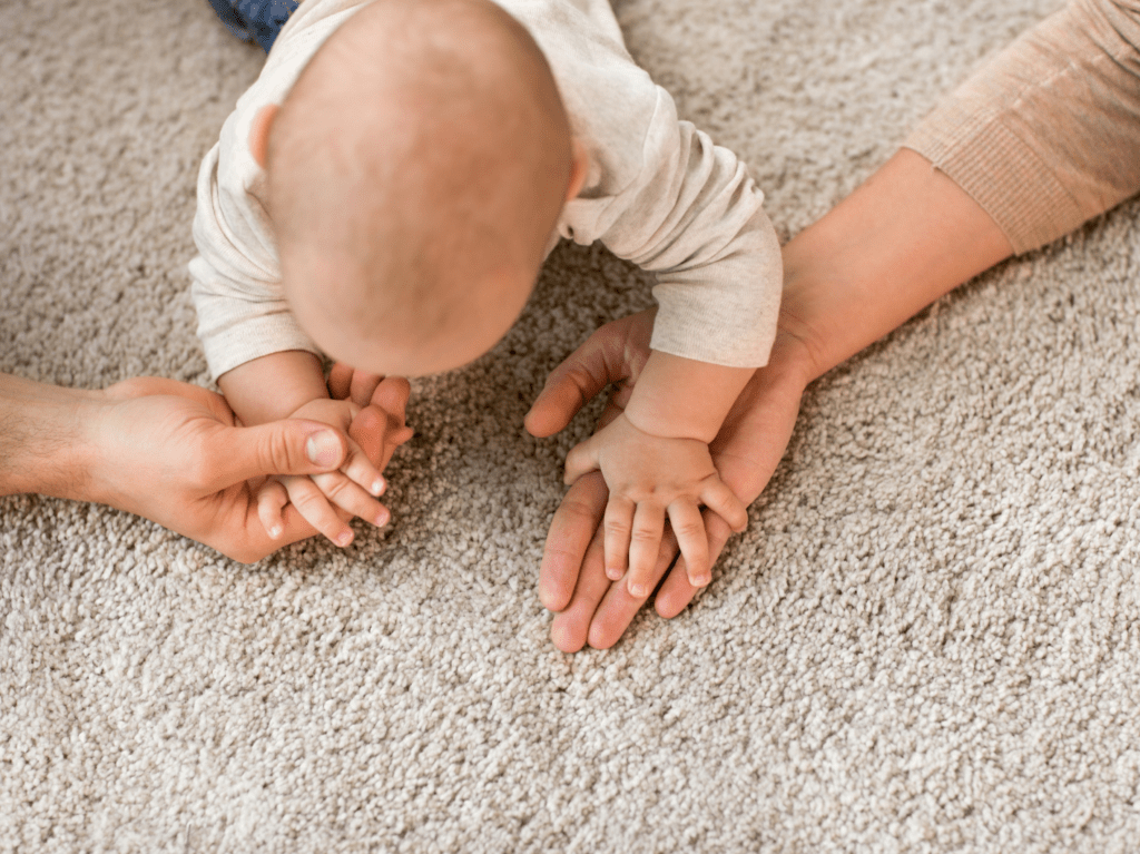 Ecobay carpet cleaning Area rug cleaning