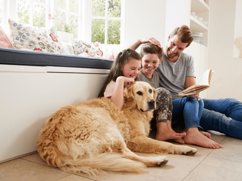 ecobay pet odor