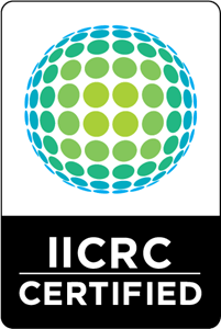 iicrc ecobay carpet cleaning