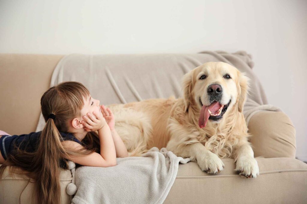 Dog and child sitting on a couch after professional eco-friendly pet odor control treatment, creating a clean and safe home environment
