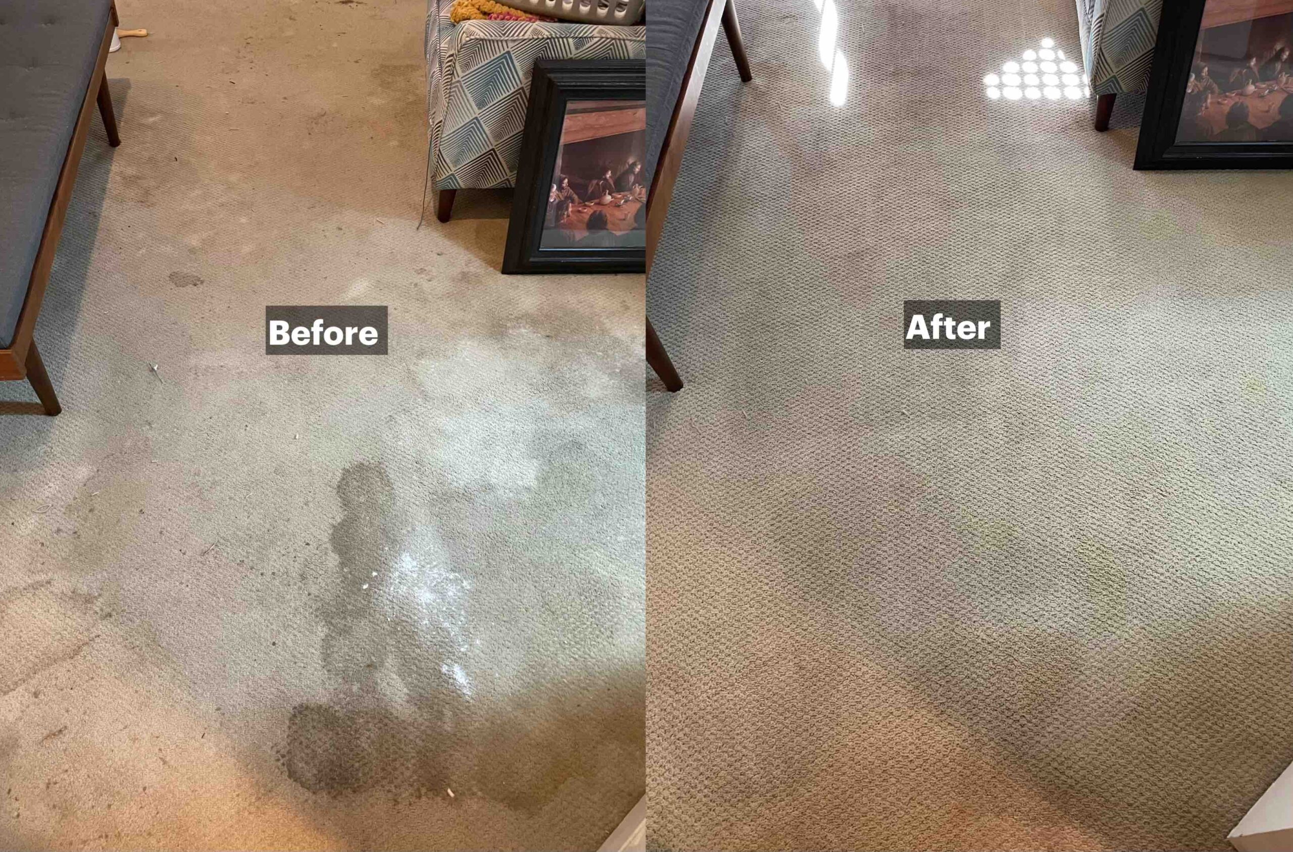 Before and after carpet cleaning showing heavy pet poop stains and dirt fully removed by professional deep cleaning, leaving the carpet fresh and clean