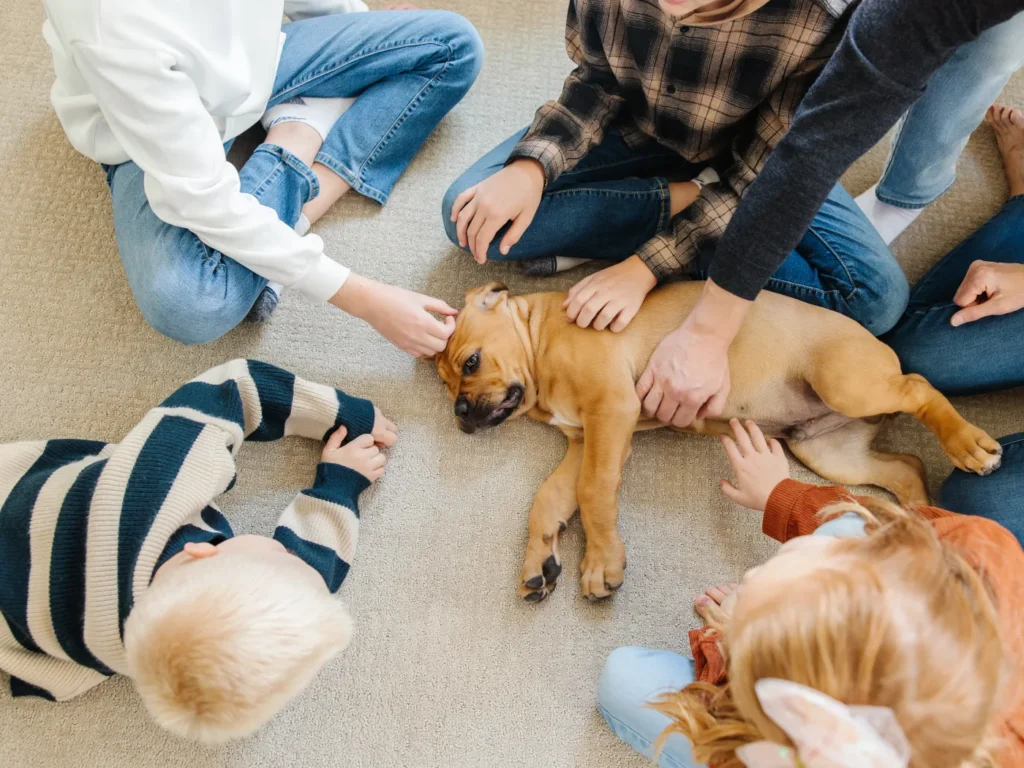 San Diego pet odor treatment service showing a family happily petting their dog in a fresh, odor-free home after professional odor removal